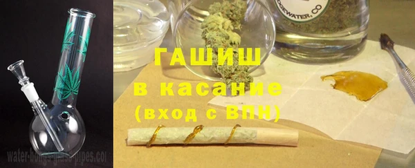 гидра Абаза
