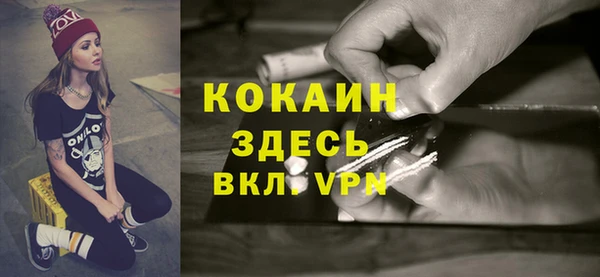 гидра Абаза