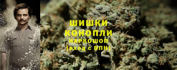 дурь Алзамай