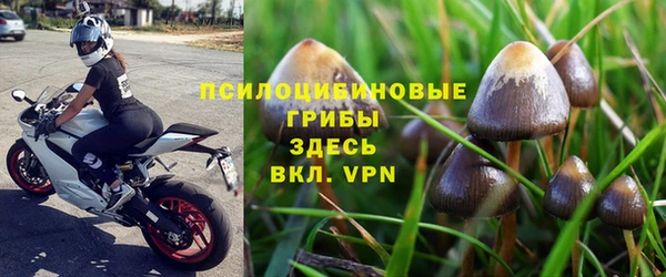 шишки Абдулино