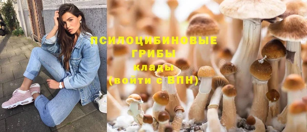 шишки Абдулино