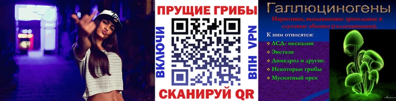 Галлюциногенные грибы прущие грибы  блэк спрут   Лиски  купить закладку 
